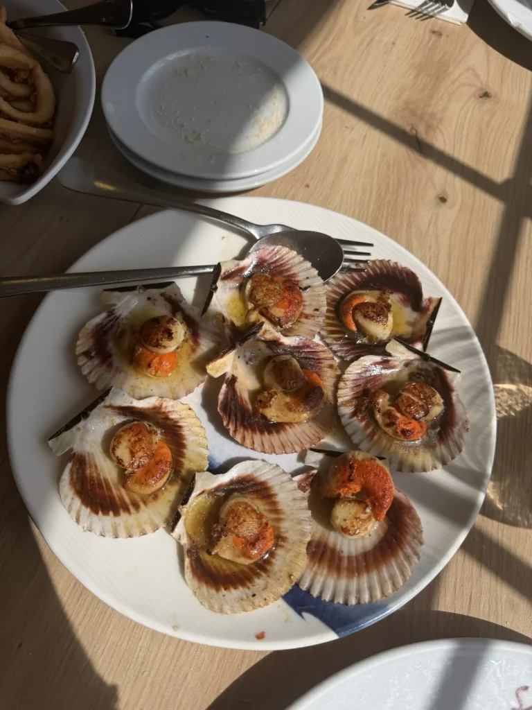 Grilled scallops in their shells — illustrative photography